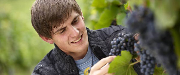 header_600_250_winzerportrait3